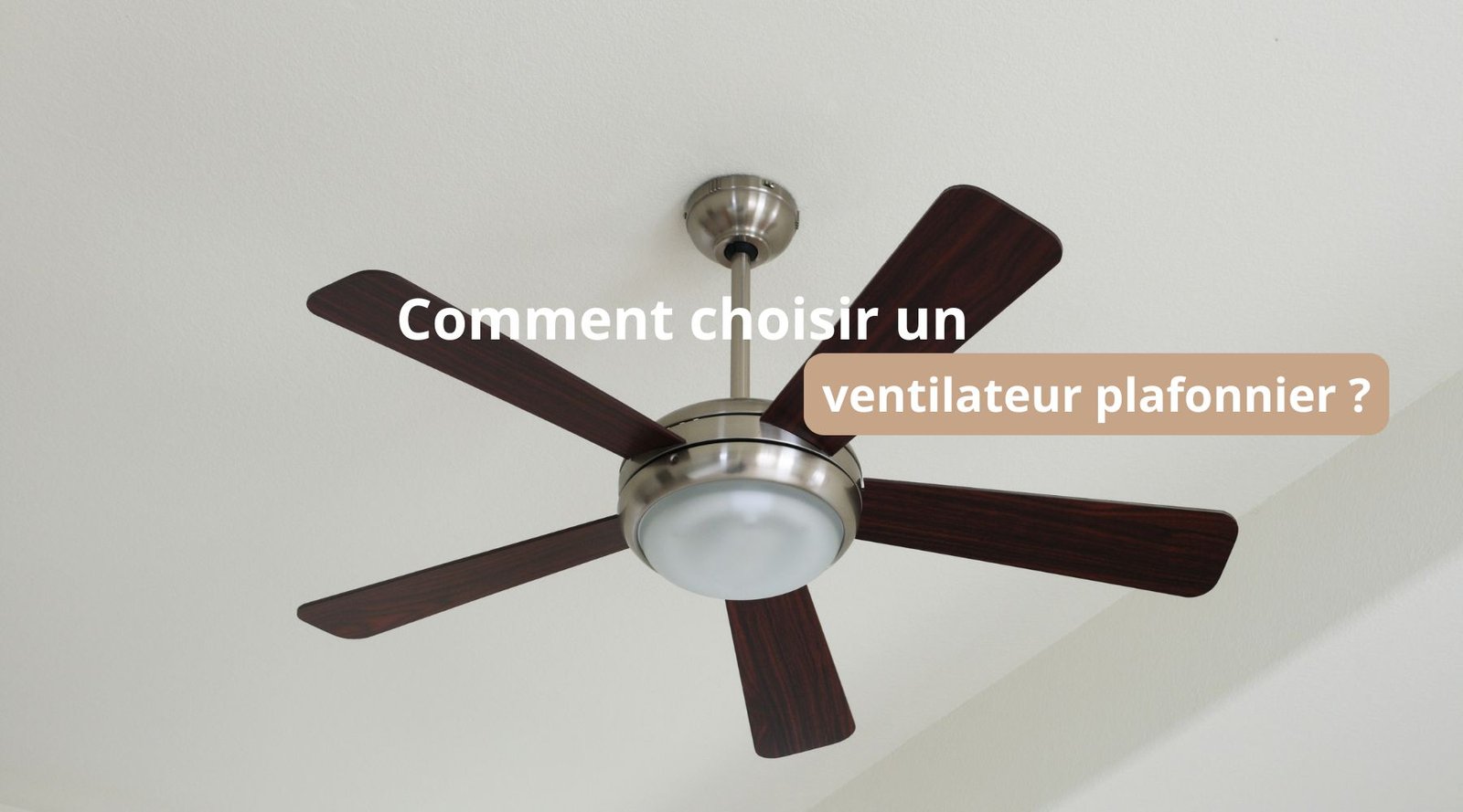 Votre texte de paragraphe 2025 10 26T140708.444