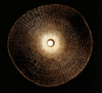 Suspension en rotin artisanale – Image 11