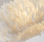 Suspension circulaire avec plumes blanches – Image 9
